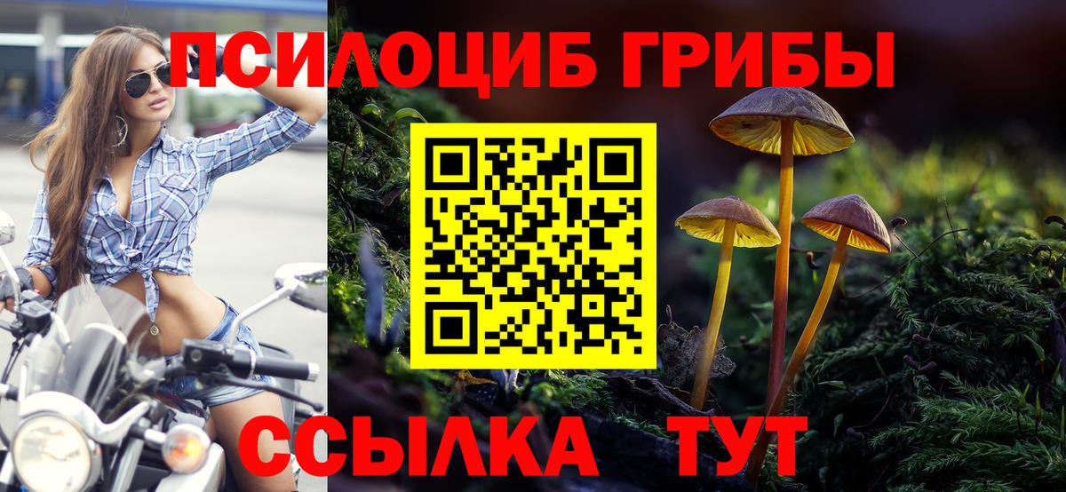 Псилоцибиновые грибы Psilocybine cubensis Рославль