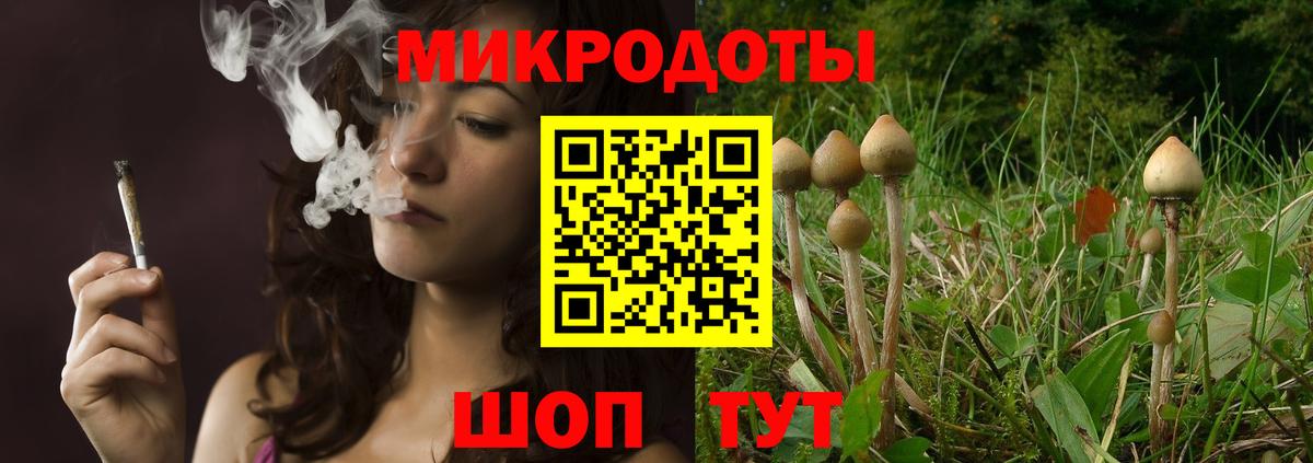 Псилоцибиновые грибы Psilocybe  Вход с VPN  Рославль 